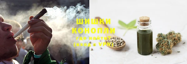 гидра Абаза