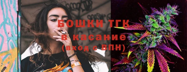 гидра Абаза