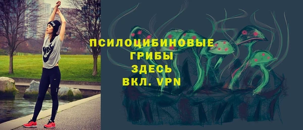ешки Новокубанск