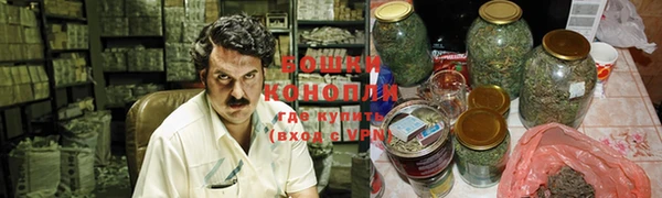 гидра Абаза