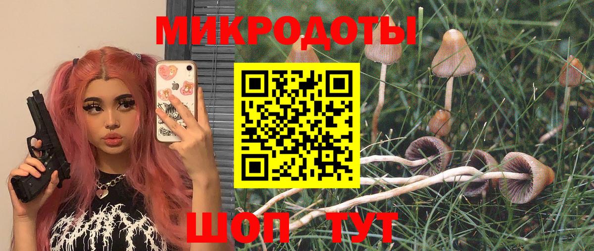 Псилоцибиновые грибы Magic Shrooms  Псилоцибиновые грибы MAGIC MUSHROOMS  Вход с VPN  закладка  Ангарск 