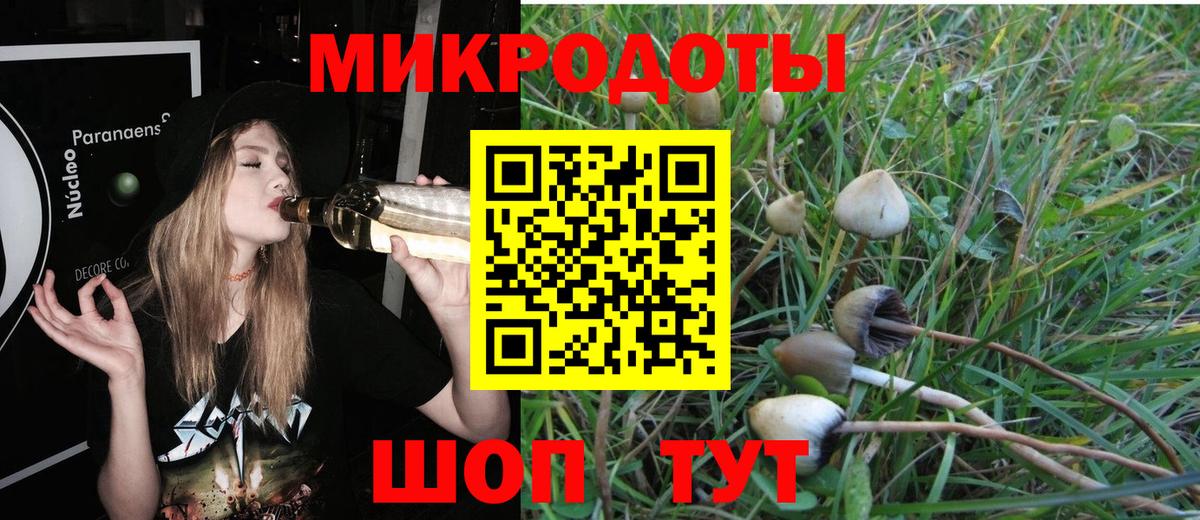 Псилоцибиновые грибы Psilocybe Ангарск